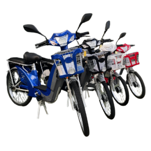 Bicicleta Elétrica TM 800W Litio Aro 24