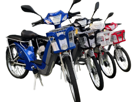 Design sem nome (12) (1)